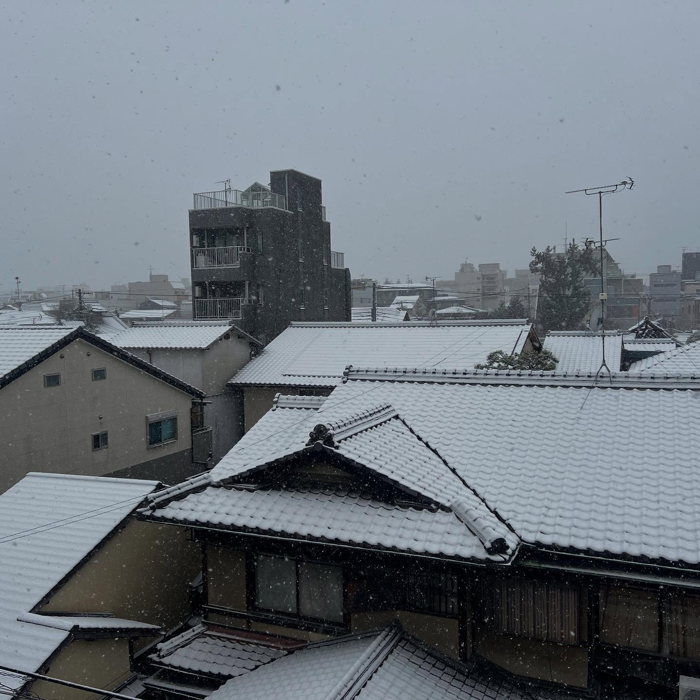 2025/2/8 京都市内の様子　積雪3〜5㌢