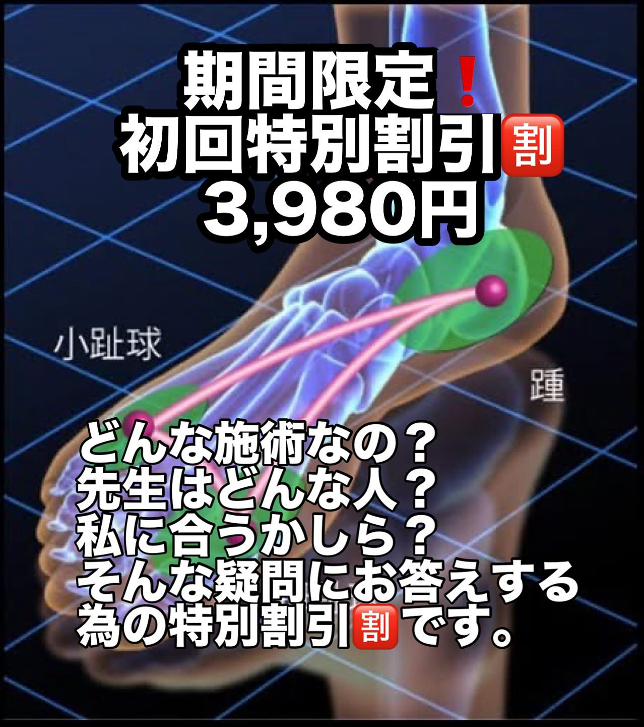 期間限定の特別割引🈹です。