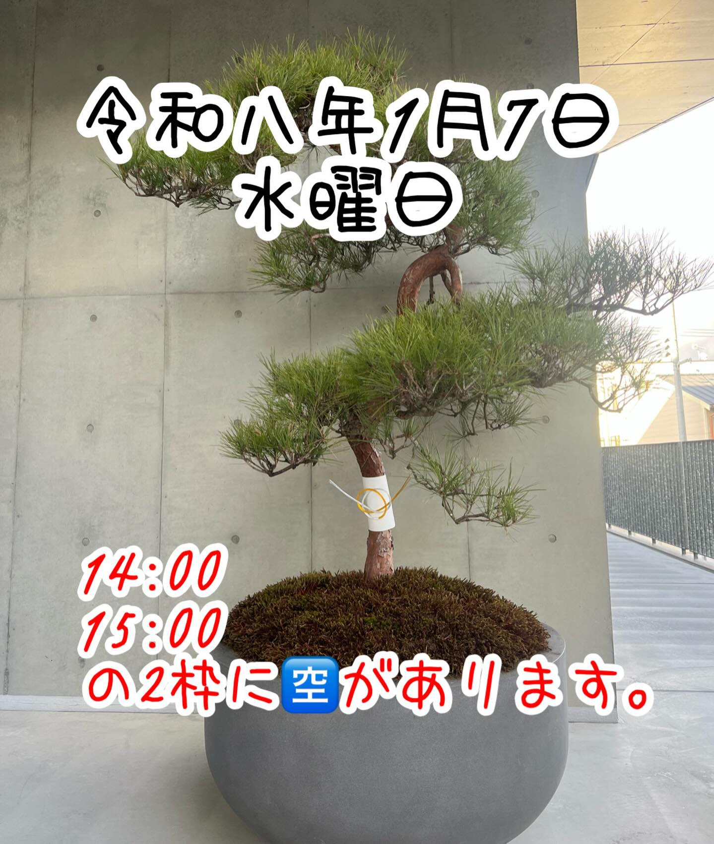 令和8年1月7日水曜日